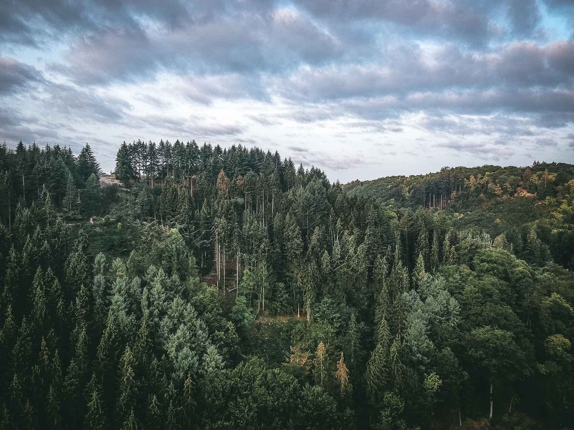 Hängebrücke Schritt 1