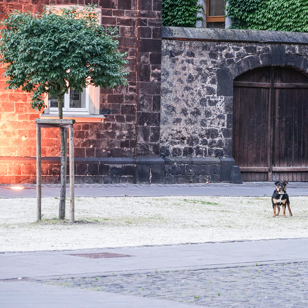 Neugestaltung Kirchenumfeld Andernach