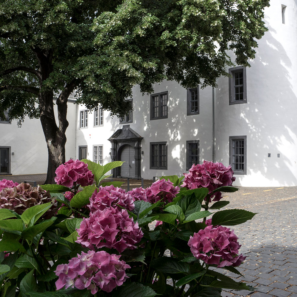 Umfeldgestaltung Kurfürstliche Burg Boppard