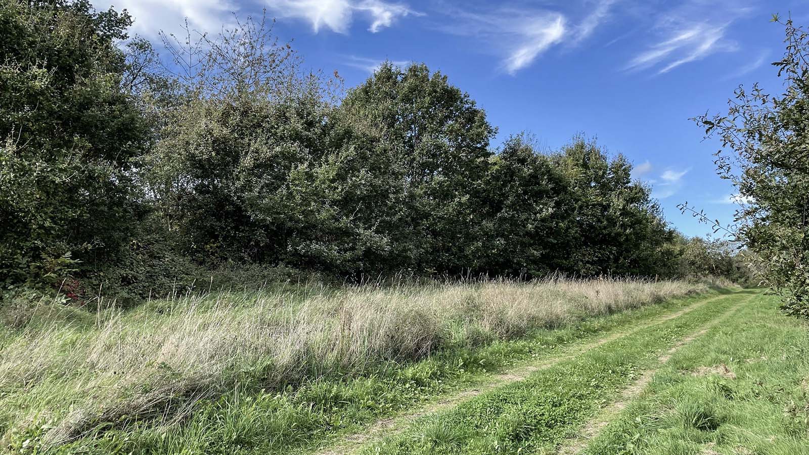 Bebauungsplan „Salzbornhöhe“