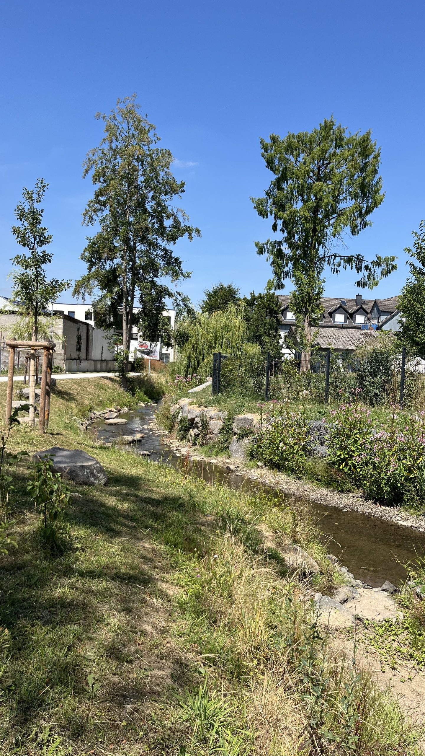 Die Mühlbach-Aue in Nastätten – ein neuer Freiraum für Natur, Bewegung und Begegnung